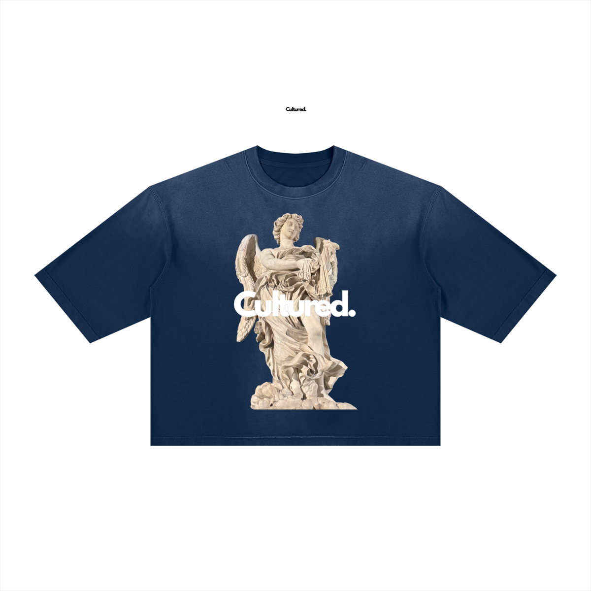 Cultured. Unisex Vintage Wash Sunfade Boxy T-Shirt