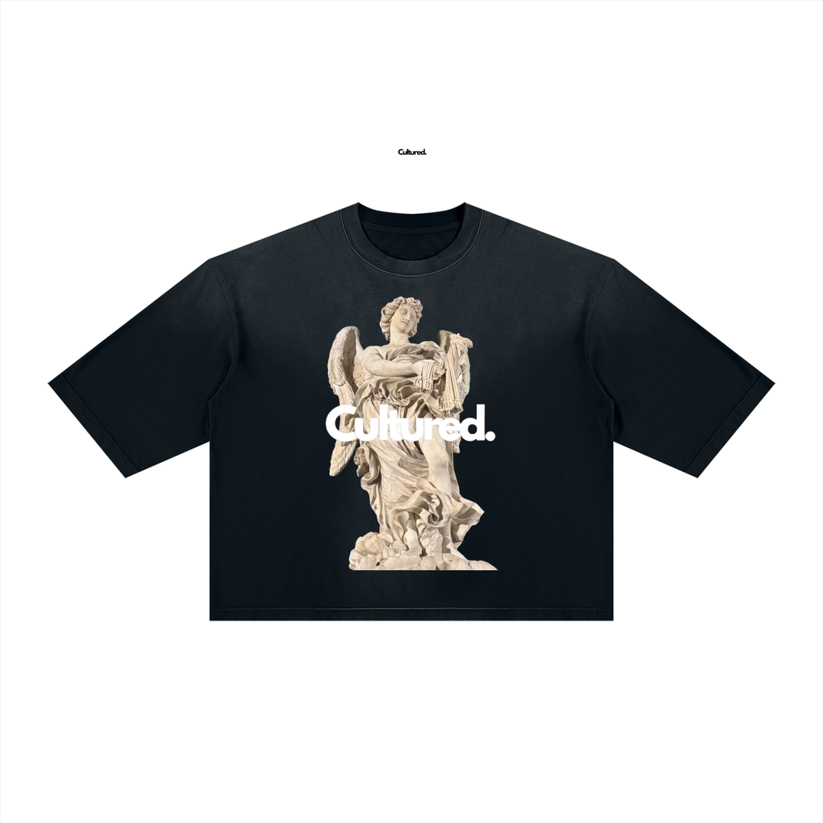 Cultured. Unisex Vintage Wash Sunfade Boxy T-Shirt
