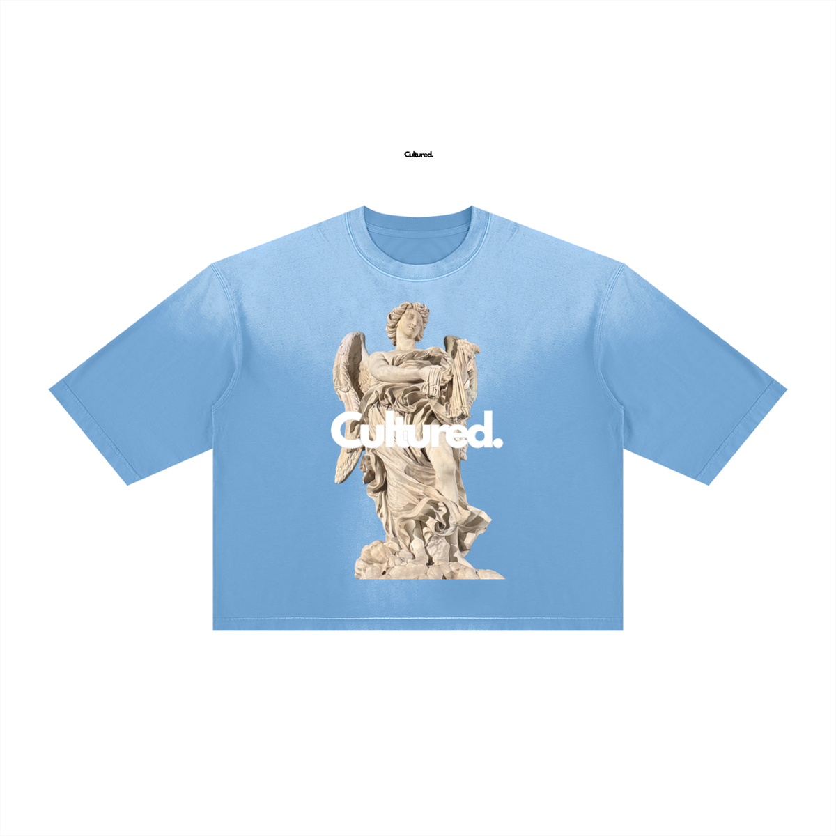 Cultured. Unisex Vintage Wash Sunfade Boxy T-Shirt