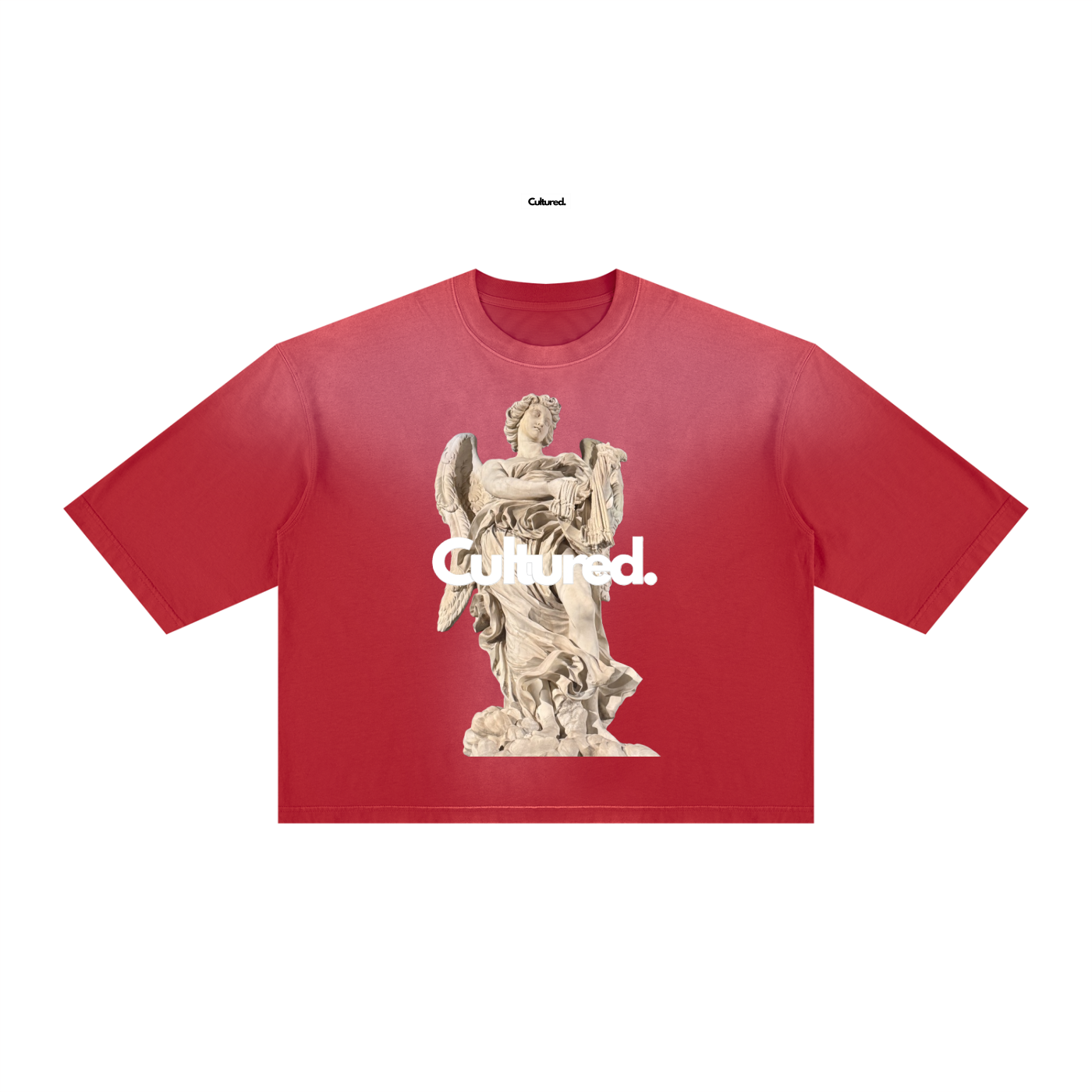 Cultured. Unisex Vintage Wash Sunfade Boxy T-Shirt