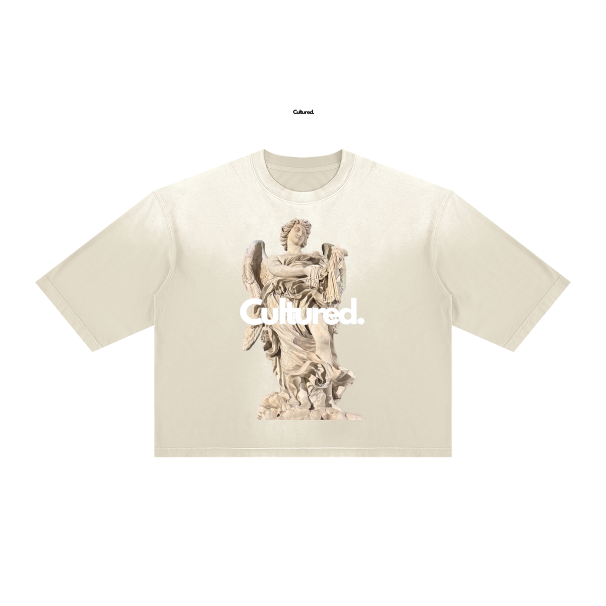 Cultured. Unisex Vintage Wash Sunfade Boxy T-Shirt