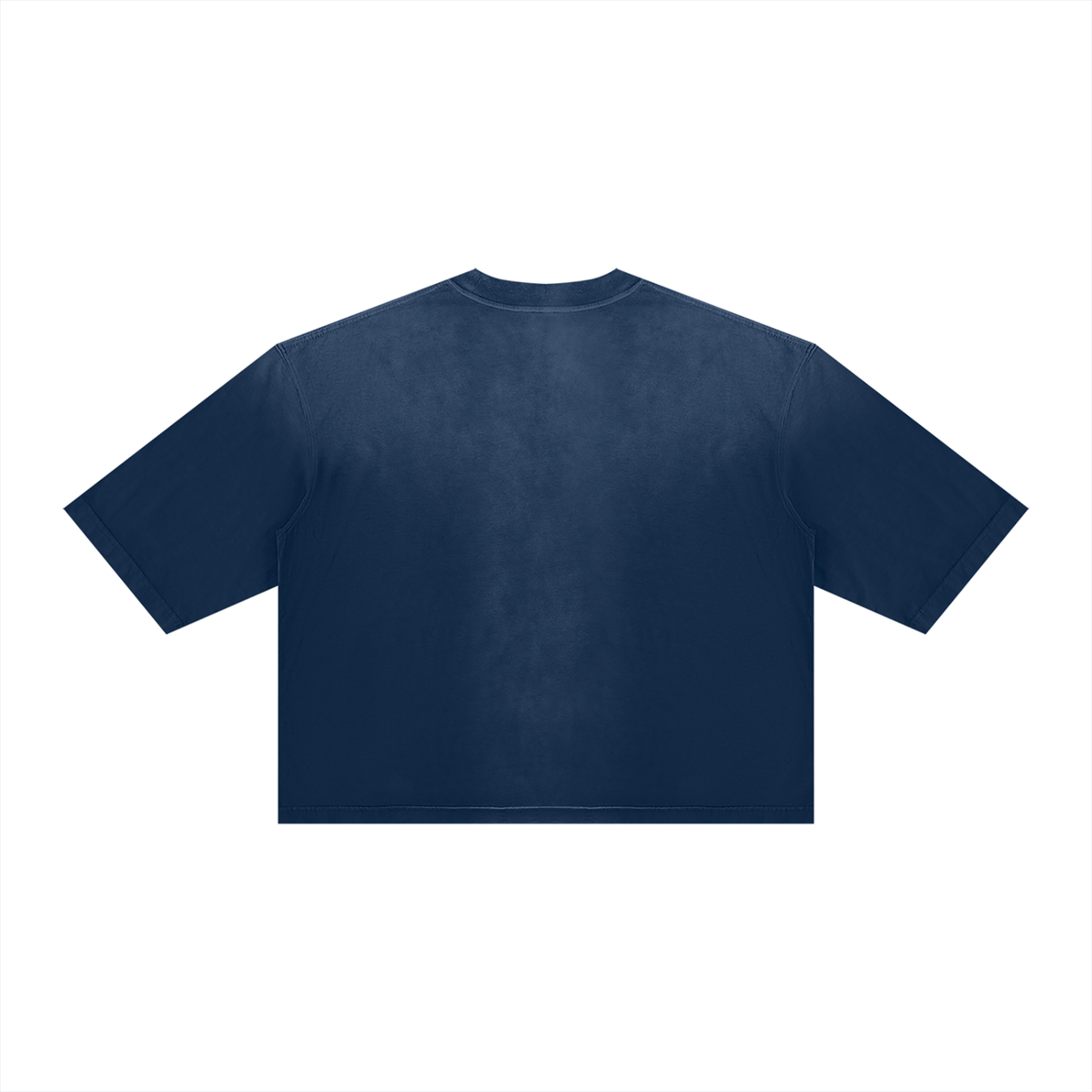 Cultured. Unisex Vintage Wash Sunfade Boxy T-Shirt